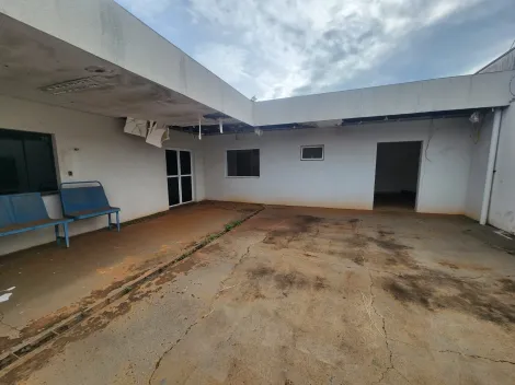 imagem 4 - Vila Aviação - Barracão com área externa ampla imagem 4 - Vila Aviação - Barracão com área externa ampla