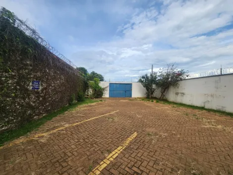 imagem 2 - Vila Aviação - Barracão com área externa ampla imagem 2 - Vila Aviação - Barracão com área externa ampla