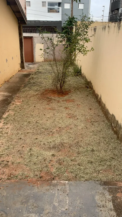 imagem 3 - Casa com dupla aptidão - paralela Avenida Nossa Senhora de Fátima imagem 3 - Casa com dupla aptidão - paralela Avenida Nossa Senhora de Fátima
