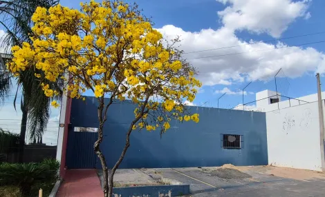 imagem 1 - Imóvel Comercial em ótima localização na Zona Sul de Bauru no Jardim Aeroporto imagem 1 - Imóvel Comercial em ótima localização na Zona Sul de Bauru no Jardim Aeroporto